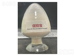 �ٿ،����ۄ���-��������