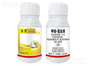 11.6%�׾S�����x��-�n��-ϲ�rʢ