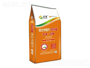 ΢�������-�۹�����-ǧ�S���w��-ǧ�S�r(n��ng)�I(y��)