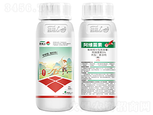 ���S����-�������Լt֩��-������