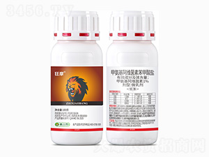 ��Ħ-1%�װ������S���ر������}΢�鄩-ֲС��