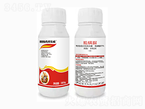 5%ʭ����-���𻢻�����-��������