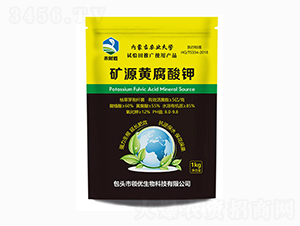 �VԴ�S�����-��ؔ��-�I��(y��u)����