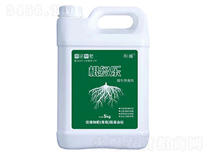 ΢�������-������-�e��-ס���ط�