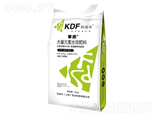 ����Ԫ��ˮ�ܷ���17-17-17-��Ը-�Ƶ��S