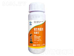 ΢�������-������-����