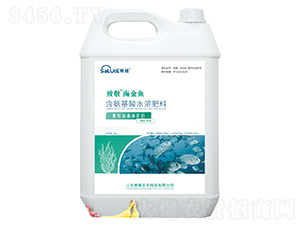 ø�⺣���~����-�����~-�¾�