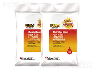 ΢�������-�{����-��(li��n)����