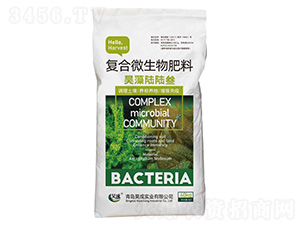 ��(f��)��΢�������-�������-껳Ɍ��I(y��)