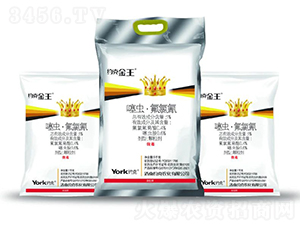 1%���x���������w����-�s�˽���-�s���r(n��ng)��