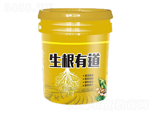 �����е�-�����S-��������