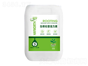 �������������-�����S-��������