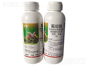 50��/�����������-���-�G������