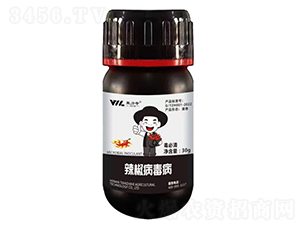 �����壨������������-������-��֮��