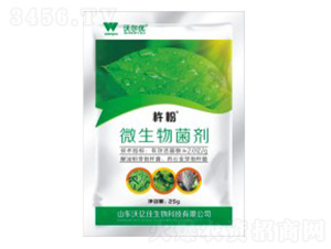 ΢��������׷�ʭ������-�Ʒ�-�֠���(y��u)