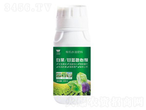 �ײ˸��{(l��n)���Ą�-�֠���(y��u)