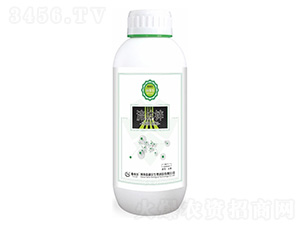 ���w�\-��(r��n)�ژ�--̩����