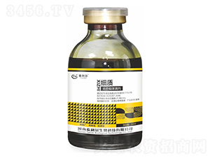 ��ϼ�������-���|-̩����