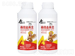 ��¶���S�𣨾۹Ȱ����ͣ�-��¶�����S