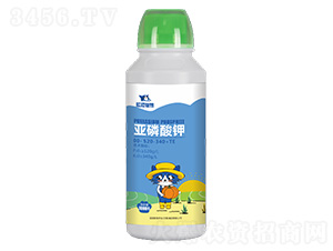 �������00-520-340+TE-�{؈�ǻ�