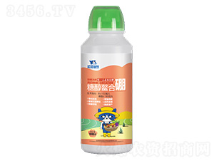 �Ǵ�������-�{؈�ǻ�