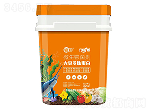 �󶹶��ĵ���΢�������-����