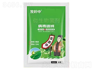 ����ͨ�x-Ƥ����-��������