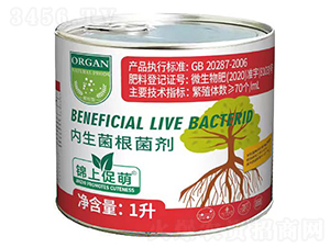 ��(n��i)����������-�\�ϴ���-����