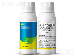 28-���|̦�؃�(n��i)��-�]��-��ϲ