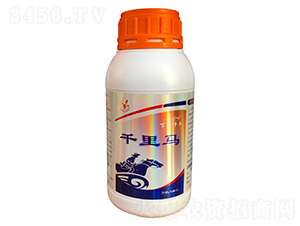 ǧ���R-�������S