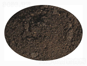 ��䌣�÷�-ӭ������