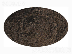 ����÷�-ӭ������