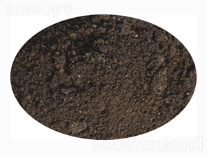 ���ь��÷�-ӭ������