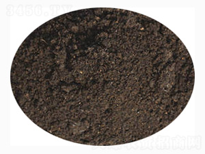 �Ͳ茣(zhu��n)�÷�-ӭ������