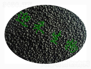 ����(sh��)��(zhu��n)�÷ʣ�С����-ӭ������