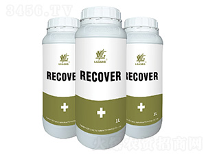 �����-�����_