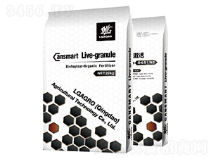 ������-��������-�����_