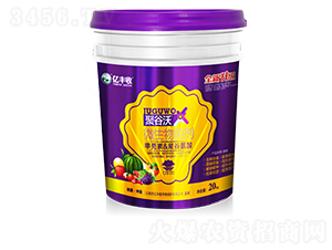 �۹���΢�������-�|�S��-����̩