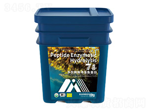 ����ø�⺣���~����-7ϲ-���{ɭ