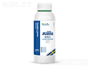 ���ľۺϺڽ����-��˹�Z