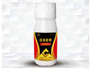 �������-���ͬ�