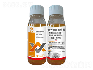 500ml��Ч�ȷ������-�t�f��-���˹����r��