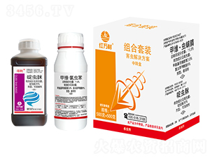 ���x��Q����-�t�f��-�l(xi��ng)�弾�L(f��ng)-���˹����r(n��ng)��