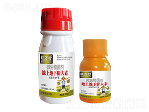 ΢�������-���µ��������-�t�f��-�l(xi��ng)�弾�L(f��ng)-���˹����r(n��ng)��