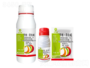 11%�׾S�����x���Ҹ���-�t�f��-�l(xi��ng)�弾�L(f��ng)-���˹����r(n��ng)��