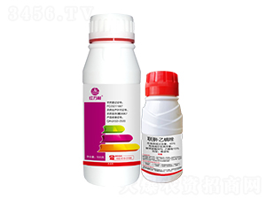 ​(li��n)�¡����������b-�t�f��-�l(xi��ng)�弾�L(f��ng)-���˹����r(n��ng)��