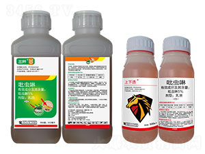 5%���x��-����+����͸-�l(xi��ng)�弾�L(f��ng)-���˹����r(n��ng)��