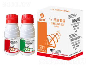 1+1�����E�R�M�����b-�t�f��-�l(xi��ng)�弾�L(f��ng)-���˹����r(n��ng)��