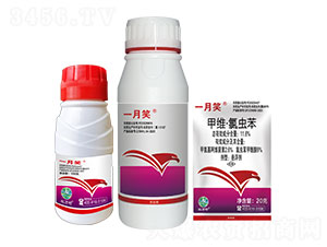 11.6%�׾S�����x���Ҹ���-һ��Ц-�t�f��-�l(xi��ng)�弾�L(f��ng)-���˹����r(n��ng)��