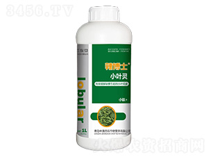 С�~�`-����ʿ-���R��-�а����r(n��ng)